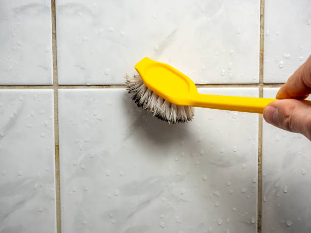 Best Black Mold Remediation in Powers Lake, WI