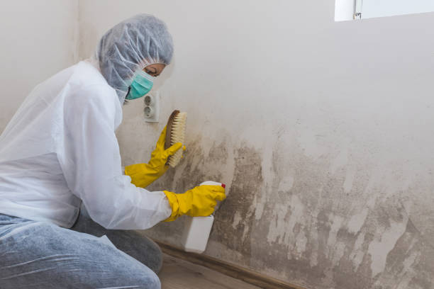 Best Kitchen Mold Remediation in Powers Lake, WI