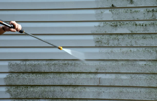 Best Industrial Mold Remediation in Powers Lake, WI