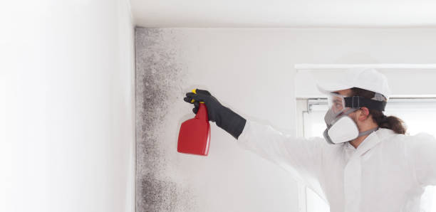 Best Residential Mold Remediation in Powers Lake, WI