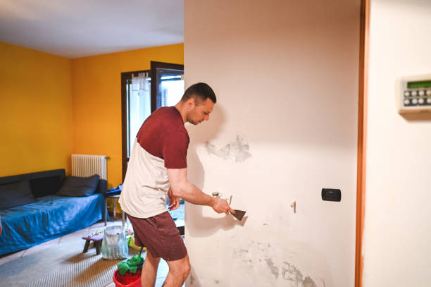 Best Post-Remediation Services in Powers Lake, WI